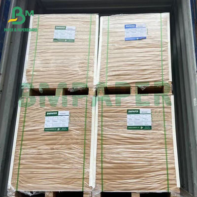 Papier absorbant à deux côtés blanchi sans revêtement