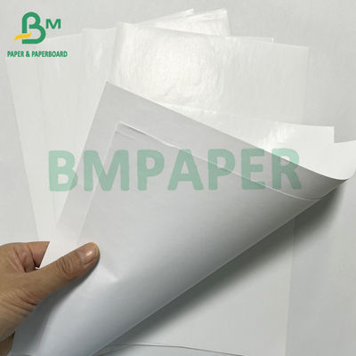 Papier autocollant pour étiquettes de protection de l'environnement