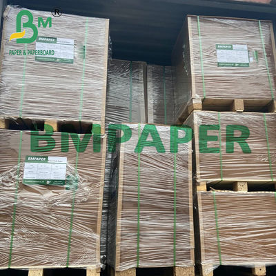 Plateaux en carton laminé en PE de papier kraft brun pour conteneurs alimentaires
