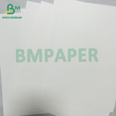 200 microgrammes de papier synthétique en PET résistant aux déchirures