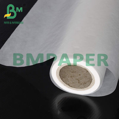 8 x 11,5 pouces feuilles de papier vitreux translucides pour protéger les photos