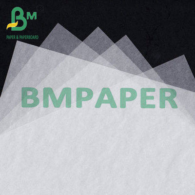 8 x 11,5 pouces feuilles de papier vitreux translucides pour protéger les photos