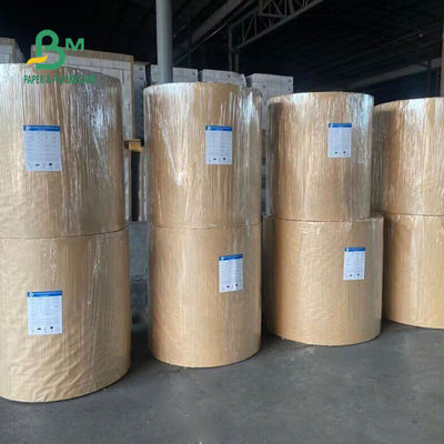 Ruloir de papier kraft revêtu en PE à l' épreuve de l' eau de 250 gm + 15 gm pour tasse jetable 770 mm