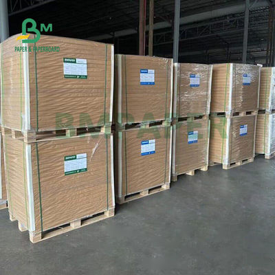 37' x 25' Tabuleau alimentaire FBB volumineux pour l'emballage de chocolat 325gm 350gm