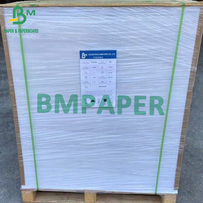 70g 80g 110g Papeter thermique imperméable à l'eau pour étiquettes Papeter thermique à base de rouleaux de papier Matières premières