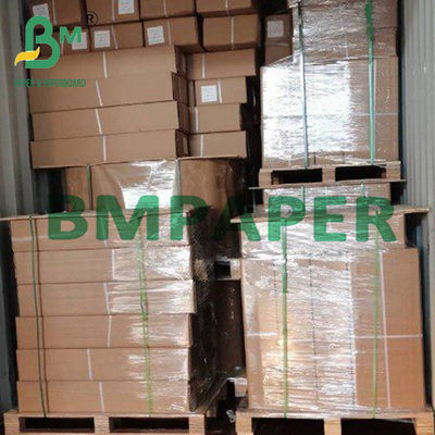 24&quot; x 150ft 2 &quot; de base 20lb papier de tracé pour dessin CAD 5 rouleaux / boîtier