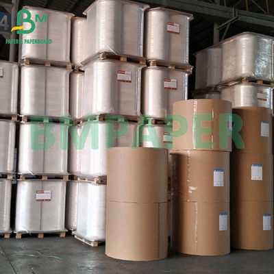 200 gm 300 gm CKB Carton Kraft recouvert de blanc pour les boîtes à emporter