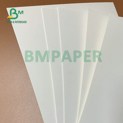 275 gm + 15 gm Feuille de carton blanche revêtue de PE 74 x 106 cm Pour les boîtes d'emballage surgelées
