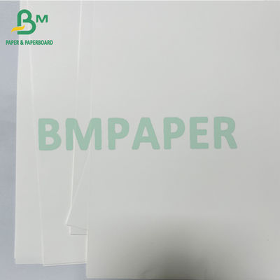 125 Rouleau de papier synthétique thermique médical antibactérien lisse