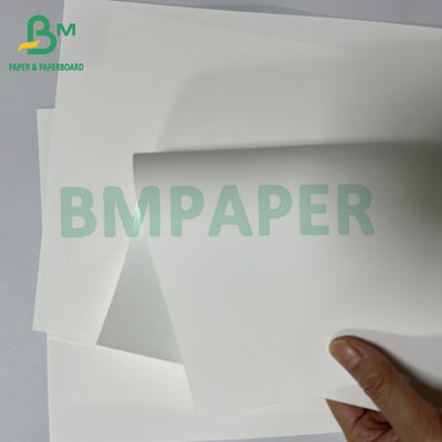 Feuille de papier de synthèse thermique médicale anti-allergique lisse de 180 microns