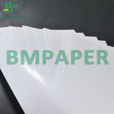 Papier adhésif PP blanc de 80 mm avec papier brillant de 80 g pour l'impression au laser