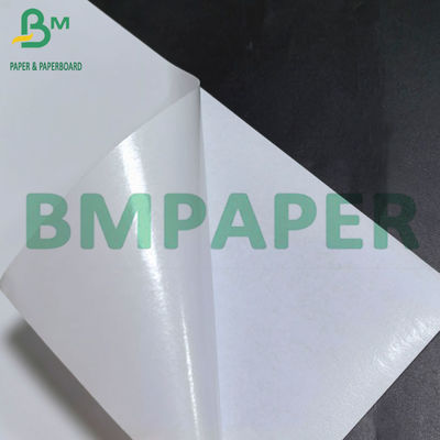 Papier adhésif PP blanc de 80 mm avec papier brillant de 80 g pour l'impression au laser