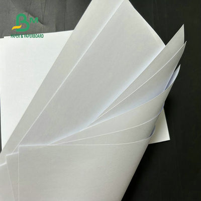 108 grammes 128 grammes 610 mm 914 mm Impression à jet d'encre Coated CAD Plotter Paper Roll For Engineering Drawings