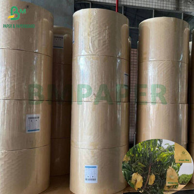 Sac de protection pour la culture de mangue 30 grammes de papier noir à l'intérieur