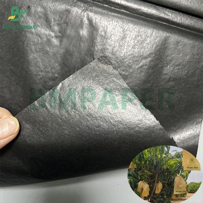 Sac de protection pour la culture de mangue 30 grammes de papier noir à l'intérieur