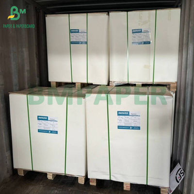 SBS Carton de 300 à 350 grammes Carton d'ivoire blanc Large feuille 70 x 100 cm