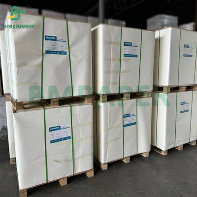 SBS Carton de 300 à 350 grammes Carton d'ivoire blanc Large feuille 70 x 100 cm