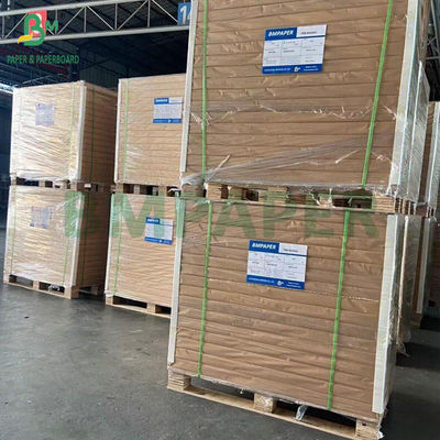 270 grammes En vrac de grande taille FBB Board For Medicine Box 600 x 900 mm Résistant au pliage