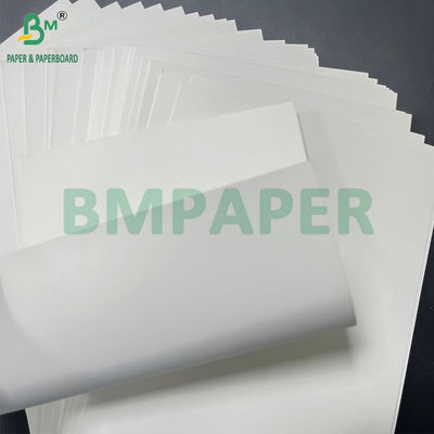 Recyclable lisse 350gm + 20g un côté PE revêtu plaque blanche de nourriture 900mm