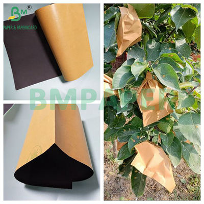 56gm Sac de protection à la mangue de fruits bruns et noirs