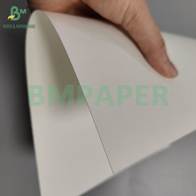 230gsm+18pe Papier à tasse mat jetable P2S pour boissons chaudes ou froides