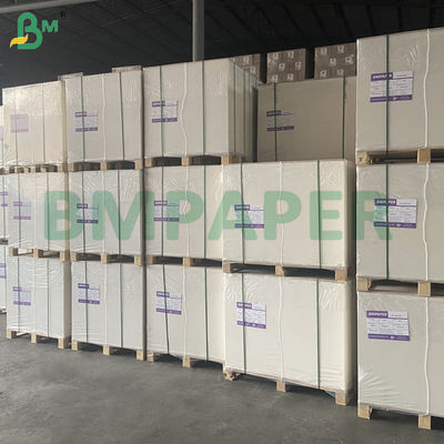 240g de papier blanc pour tasse 100% pâte de bois et non recouvert pour tasse