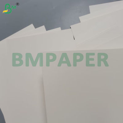 240g de papier blanc pour tasse 100% pâte de bois et non recouvert pour tasse
