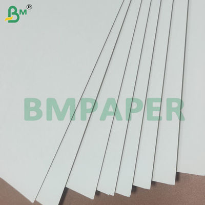 135-350gm Double face Lisse PE revêtue de tasse feuille de papier de stock