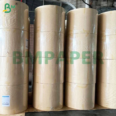 135-350gm Double face Lisse PE revêtue de tasse feuille de papier de stock