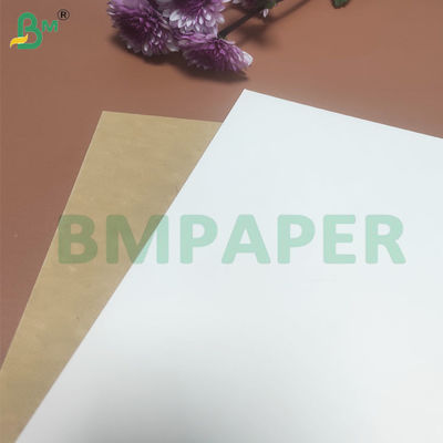 135-350 GSM Ruloir de papier pour contenant alimentaire à haute rigidité pour bol en papier