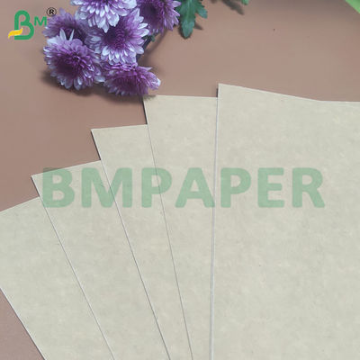 135-350 GSM Ruloir de papier pour contenant alimentaire à haute rigidité pour bol en papier