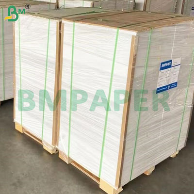 135-350 GSM Ruloir de papier pour contenant alimentaire à haute rigidité pour bol en papier