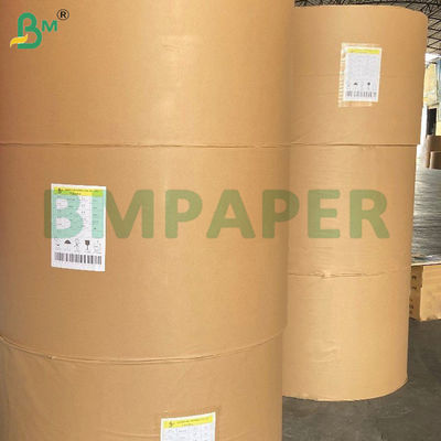 210 g + 15 g de papier à bol en PE revêtu de pâte de bois vierge de qualité alimentaire