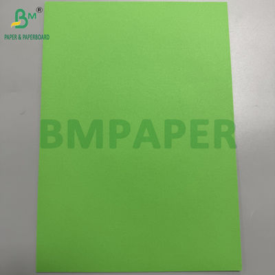 80 grammes de papier sans bois vert perroquet 25,5" x 38,5" feuilles de papier couleur