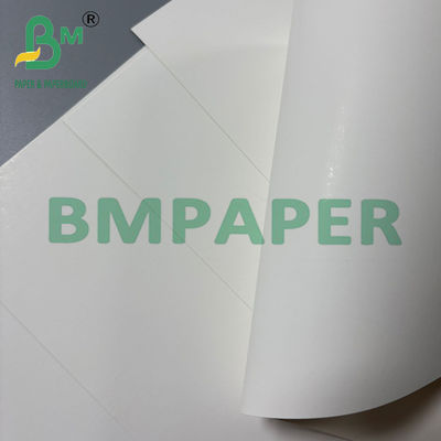 250 gm de carton naturel blanc boîte pliante FBB SBS 70 * 100cm