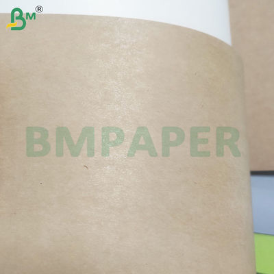 Feuilles de papier en PE revêtues d'une rigidité élevée, résistantes aux fuites, pour les contenants alimentaires