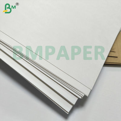 BMPAPER à l'épreuve des liquides Papier de tasse blanc et brun stratifié avec revêtement PE
