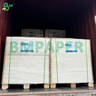 BMPAPER à l'épreuve des liquides Papier de tasse blanc et brun stratifié avec revêtement PE