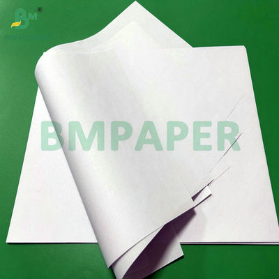90 gm 100 gm Paper non revêtu 20,5 " en bobine en papier blanc pour les tasses à eau coniques