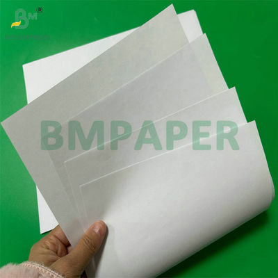 90 gm 100 gm Paper non revêtu 20,5 " en bobine en papier blanc pour les tasses à eau coniques