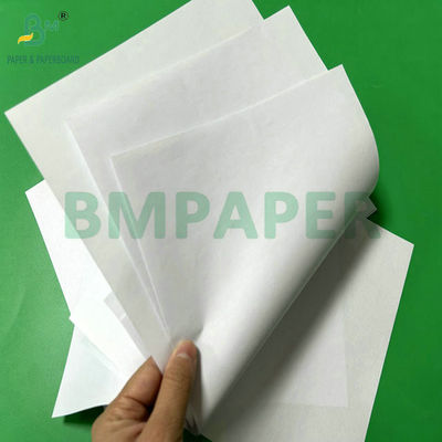 90 gm 100 gm Paper non revêtu 20,5 " en bobine en papier blanc pour les tasses à eau coniques