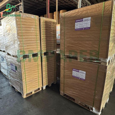 50 gm 73 gm Tracer du papier translucide Pour le scrapbooking Bonne ténacité A0 A1
