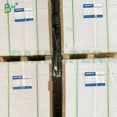 10 grammes de rouleaux de papier résistant à la chaleur pour boisson en PE recouvert de deux côtés