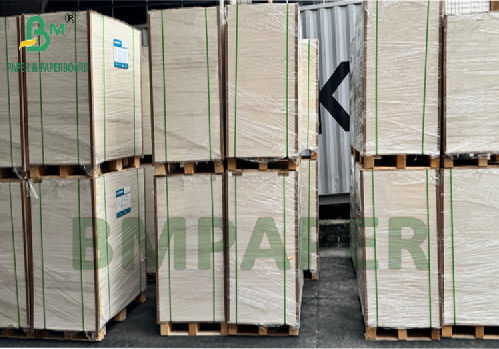 300g 350g 900mm 1000mm Papier SBS revêtu de qualité alimentaire pour boîte à emballage alimentaire