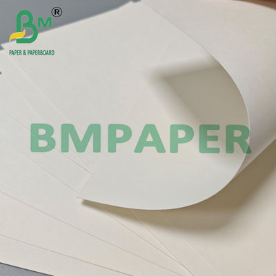 210 gm 230 gm Papier à tasse à thé chaude biodégradable Matière première