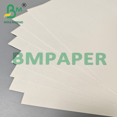 210 gm 230 gm Papier à tasse à thé chaude biodégradable Matière première