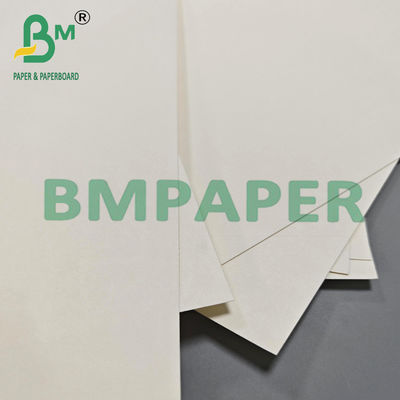 210 gm 230 gm Papier à tasse à thé chaude biodégradable Matière première
