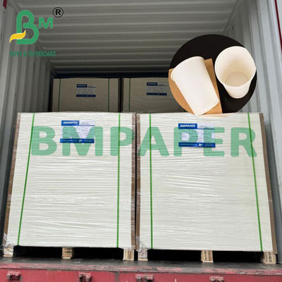 210 gm 230 gm Papier à tasse à thé chaude biodégradable Matière première
