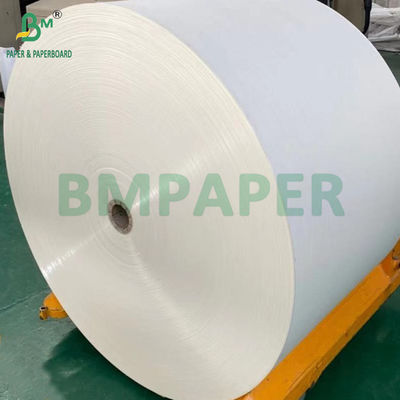 240 gm + 18 g de papier couché en PE pour tapis de plateau résistant à l'eau 650 mm