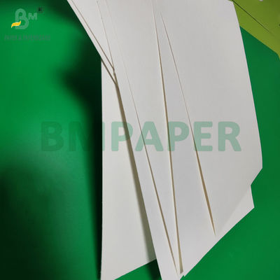 240 gm + 18 g de papier couché en PE pour tapis de plateau résistant à l'eau 650 mm